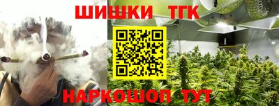 СК Пенза