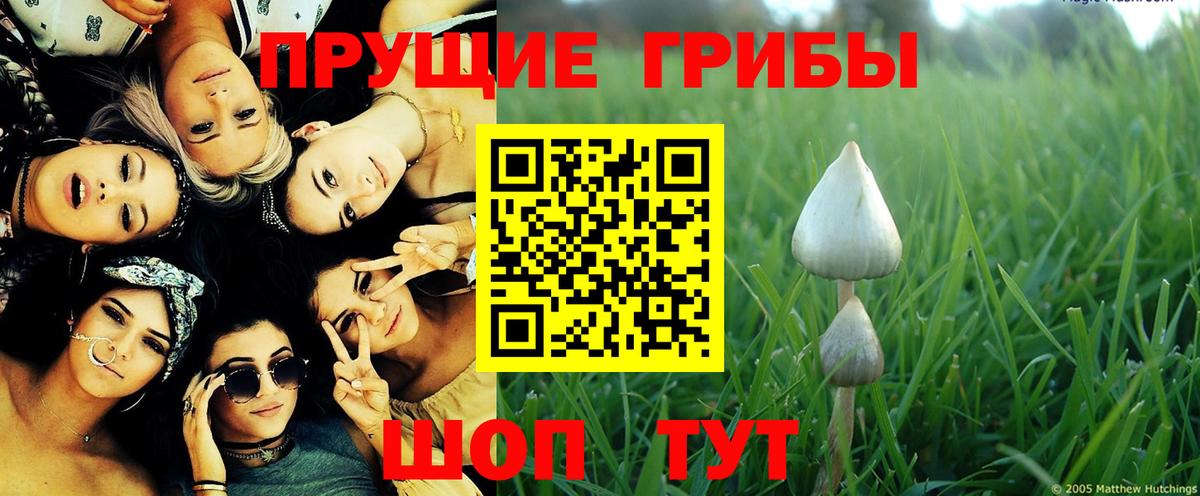 A-PVP СОЛЬ кристаллы  Вход с VPN  Гашиш  Cocaine  Сколько стоит  Бошки Шишки  Ставрополь  МЕФ кристаллы  Бошки Шишки 