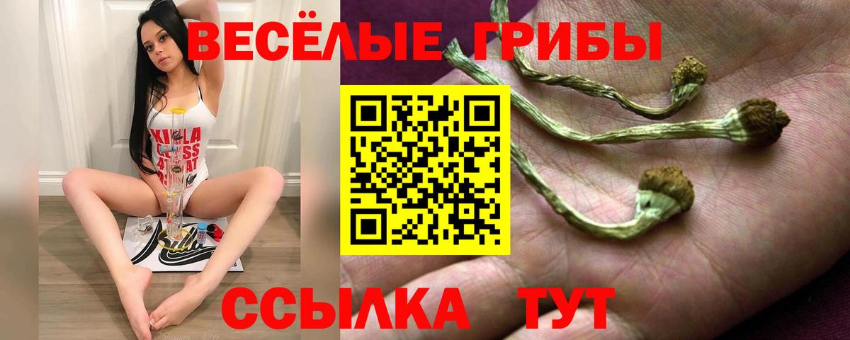Псилоцибиновые грибы Psilocybe  Вход с VPN  Псилоцибиновые грибы GOLDEN TEACHER  Ставрополь 